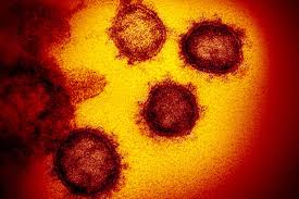 予言 いつまで コロナ コロナウイルスがいつまで続く予言や予想には意味がない